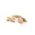 salted - roasted - dried nuts - PUPKIN SEEDS ROASTED SALTED ROASTED NUTS WITH SALT